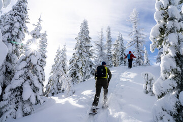 Mount Hood Wilderness Snowshoers