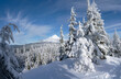 Mount Hood Winter Panorama