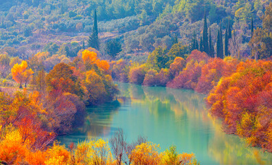 Colorful majestic Goksu river in national park with autumn forest - Mersin, Turkey