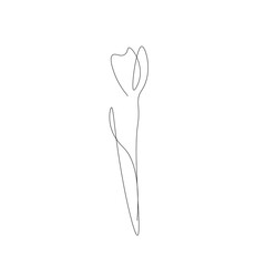 Sticker - Spring flowers isolated on white background. Continuous line drawing. Vector illustration