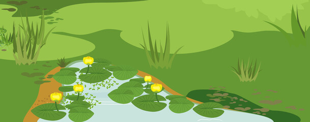 Poster - Abstract marsh landscape with pond overgrown with flowering yellow water-lily (Nuphar lutea) with green leaves