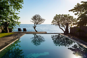 Poster - Swimming pool with tree, deck chairs and sea view - Bali, Indonesia