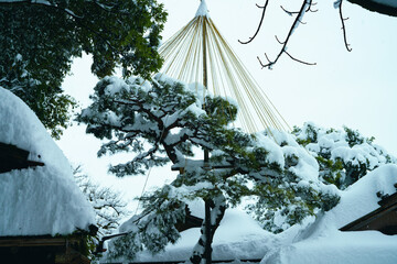 Canvas Print - Snow day in Kanazawa, 2021.