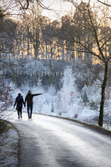 Wall Mural - lovers walking through Auchinleck estate