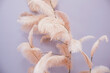 Decorative composition of pink feathers on the background of a violet wall. Decoration looks like a tree for home or office made of natural feathers.