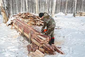 A logger saws a tree in the forest in winter, in Russia for firewood