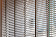venetian blind of shop window. blind curtain.
