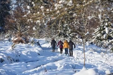 Poster - neige hiver paysage Belgique Wallonie Gaume Ardenne bois foret balade famille