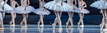 Swan Lake Ballet.