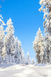 Beautiful wintry landscape with a lot of snow and nice weather
