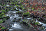 Fototapeta Desenie - Waterfall on Bucaci creek in Moravskoslezske Beskydy mountains in winter day