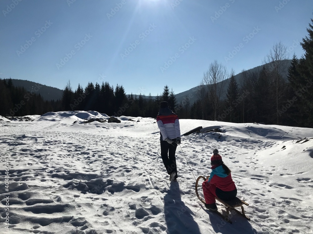 Mother Pulling Sled With Daughter On Snow Covered Field - obrazy, fototapety, plakaty 