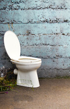 Abandoned Toilet Bowl Against Wall