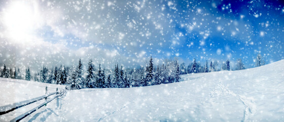 Wall Mural - Beautiful winter landscape with snow covered trees