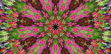 Floral Abstract Background In Kaleidoscope View