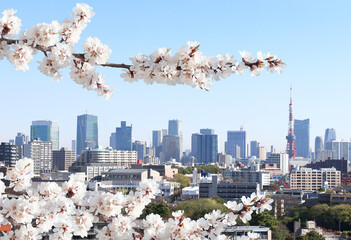 Canvas Print - Aerial view on Tokyo, Japan