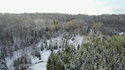 Canvas Print - Belgique Wallonie Gaume Neige hiver bois foret Ardennes