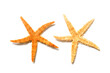 © eyewave - Two starfish isolated on white background