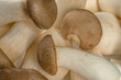 Heap of fresh raw mini king oyster mushrooms as background