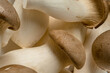 Heap of fresh raw mini king oyster mushrooms as background