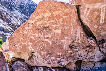 Petroglyph at Yerba Buenas near San Pedro de Atacama in Chile