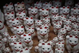 Fototapeta Paryż - Japan Tokyo Gotukuji template cat shrine