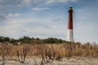 Barnegat Lighthouse, NJ, surrounded by sandy beach and golden wild grasses on a brisk winter day under blue cloudy sky