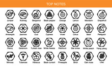 Vector Icons Aromas Top Notes. Top Notes Pyramid Chart With Examples Of Popular Aroma Essences. Scent Categories Are Oriental, Woody, Fresh And Floral. Trend  Examples Of Scents.