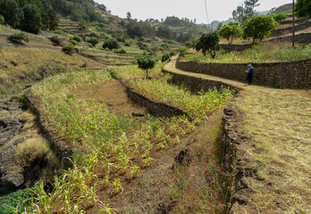 Walking tour at Cape Verde, Santo Antao island, summer, beautiful weather.