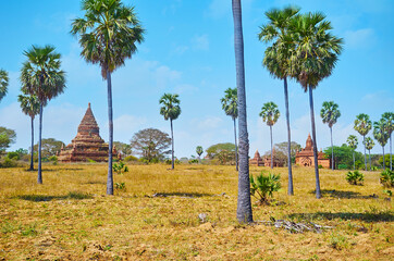 Canvas Print - The ancient pagodas among the palms, Bagan, Myanmar