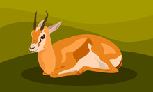 Beautiful Animal Roe Deer Or Gazelle Lies On A Green Background. Vector Illustration