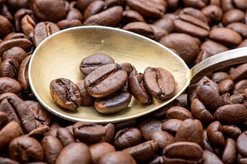 Fresh coffee beans on a spoon with beans in the background.