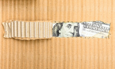 Contraband money discovered in a torn cardboard box, dollar bill in search of wealth and crisis, with copy space.