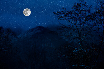 Mountain Road through the snowy forest on a full moon night. Scenic night winter landscape of dark blue sky with moon and stars