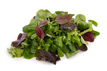 Fresh green salad