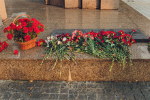 Carnations Flowers On The Granite Memorial Plaque In A Brothers Cemetery To Commemorate The Fallen USSR Soldiers Of World War 2. Victory Day 9 May .