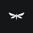 logo dragon flay icon templet vector