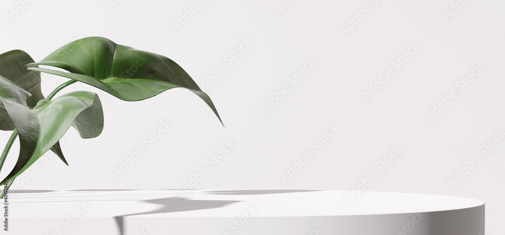 White product display podium with nature leaves. 3D rendering - obrazy, fototapety, plakaty 