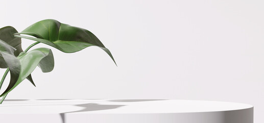White product display podium with nature leaves. 3D rendering