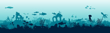 Underwater Landscape With Fishes. Panoramic View Of The Seabed.