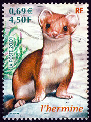 Wall Mural - Postage stamp France 2001 short-tailed weasel