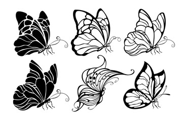 Canvas Print - Seated butterflies