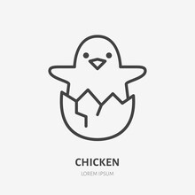 Baby Chicken Flat Line Icon. Vector Outline Illustration Of Little Hen In The Eggshell. Black Color Thin Linear Sign For Newborn Easter Chick