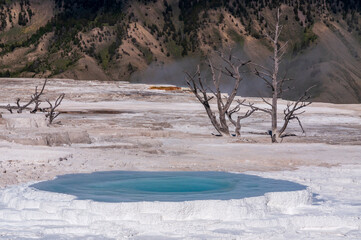 Canvas Print - mammoth hot springs