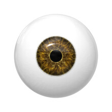 Close-up Of Artificial Eyeball Over White Background