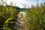 Fototapeta Pomosty - Zrujnowany pomost nad warmińskim jeziorem