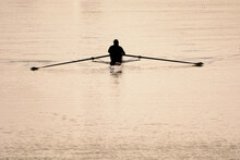 Rowers In Backlight At Sunset From Behind