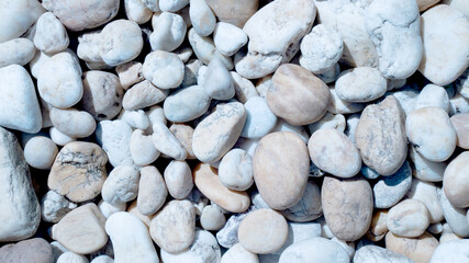 Wall Mural - white pebbles on the beach, white stone for background