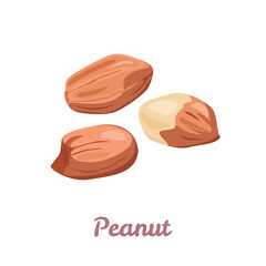 Wall Mural - Peanuts isolated on white background. Vector illustration of peeled nuts in cartoon flat style.