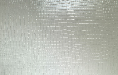 Wall Mural - Texture of a piece of white leather